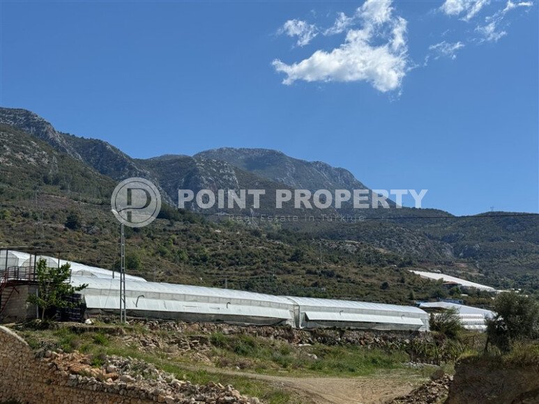 Апартаменты на срочной продаже в новом доме в районе Махмутлар-id-9714-фото-13